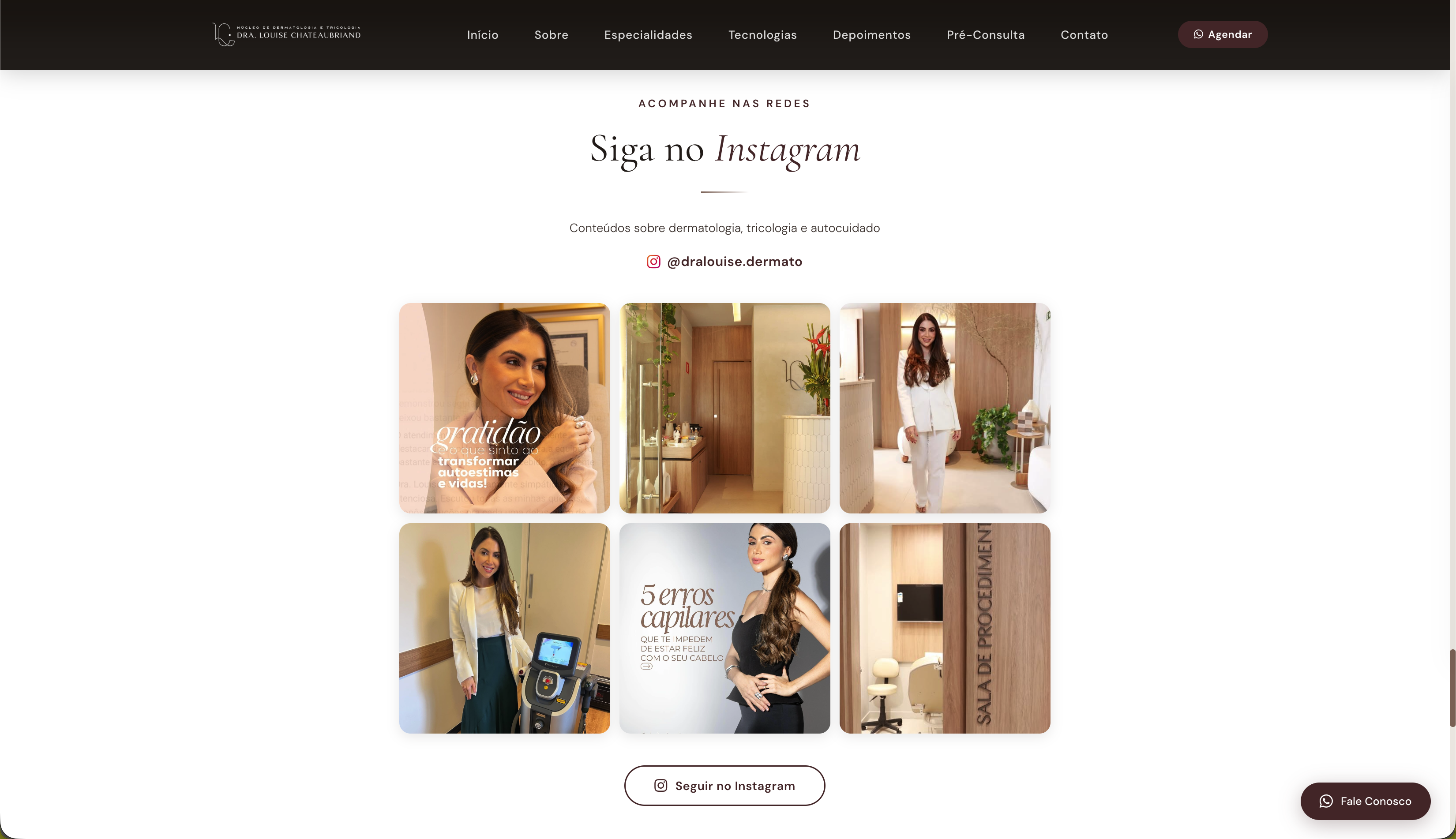 Se&ccedil;&atilde;o Instagram